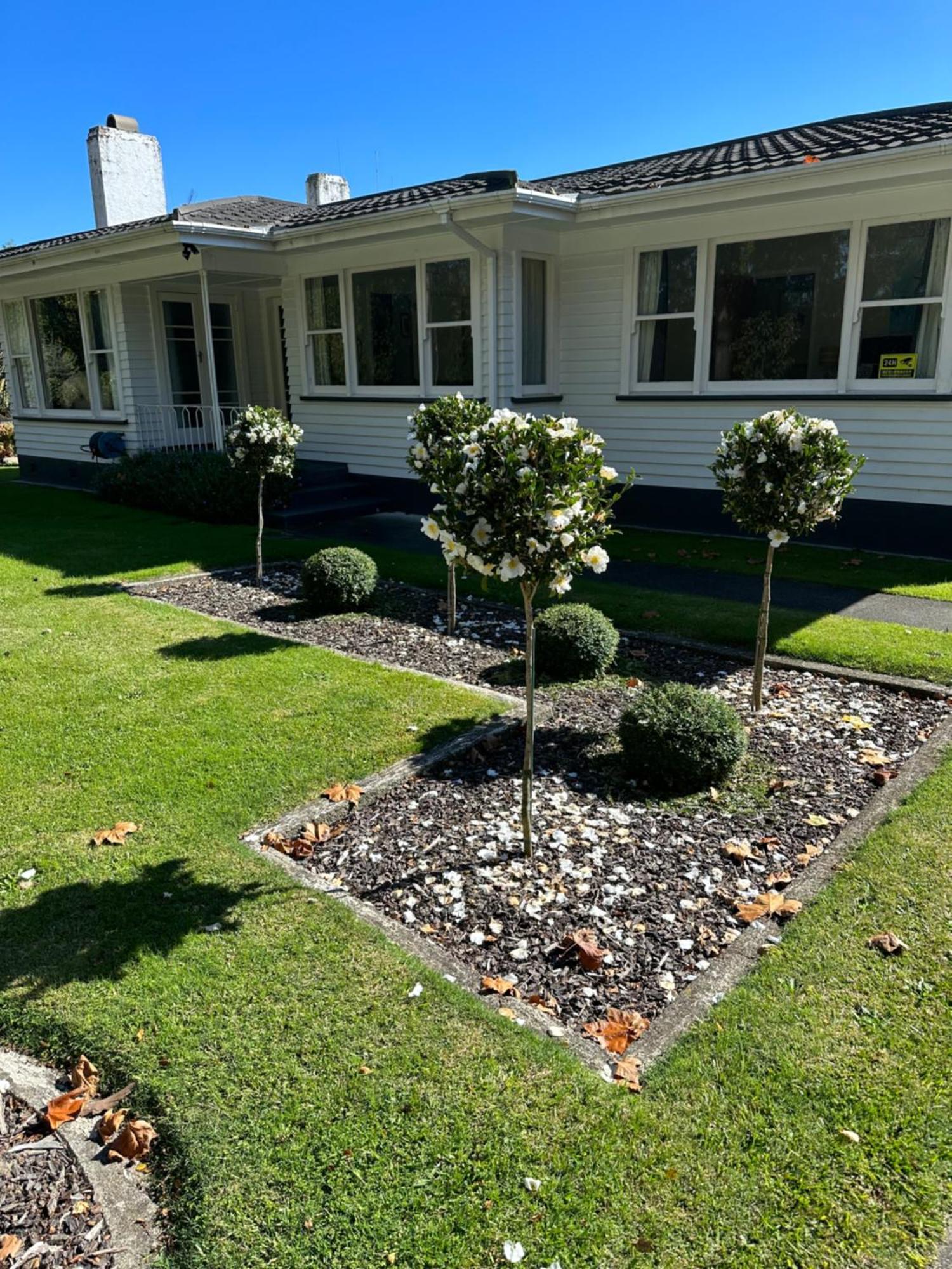 Cambridge Cottage - Self Catering Holiday House Dış mekan fotoğraf