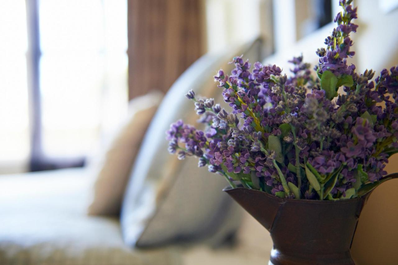 Cambridge Cottage - Self Catering Holiday House Dış mekan fotoğraf
